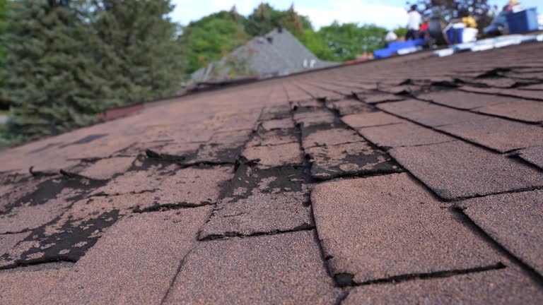 Best Roof Coating and Sealing  in Rosemead, CA